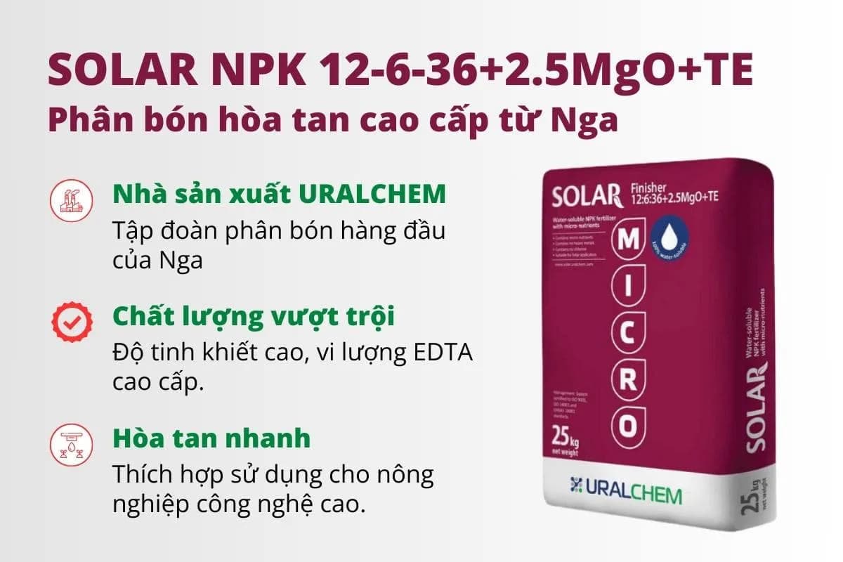 Phân Solar NPK 12-6-36+2,5MgO+TE — ảnh 2