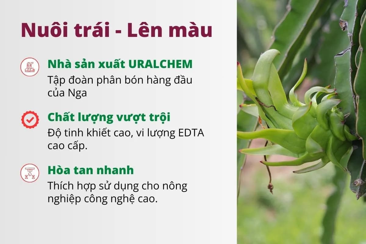Phân Solar NPK 12-6-36+2,5MgO+TE — ảnh 3