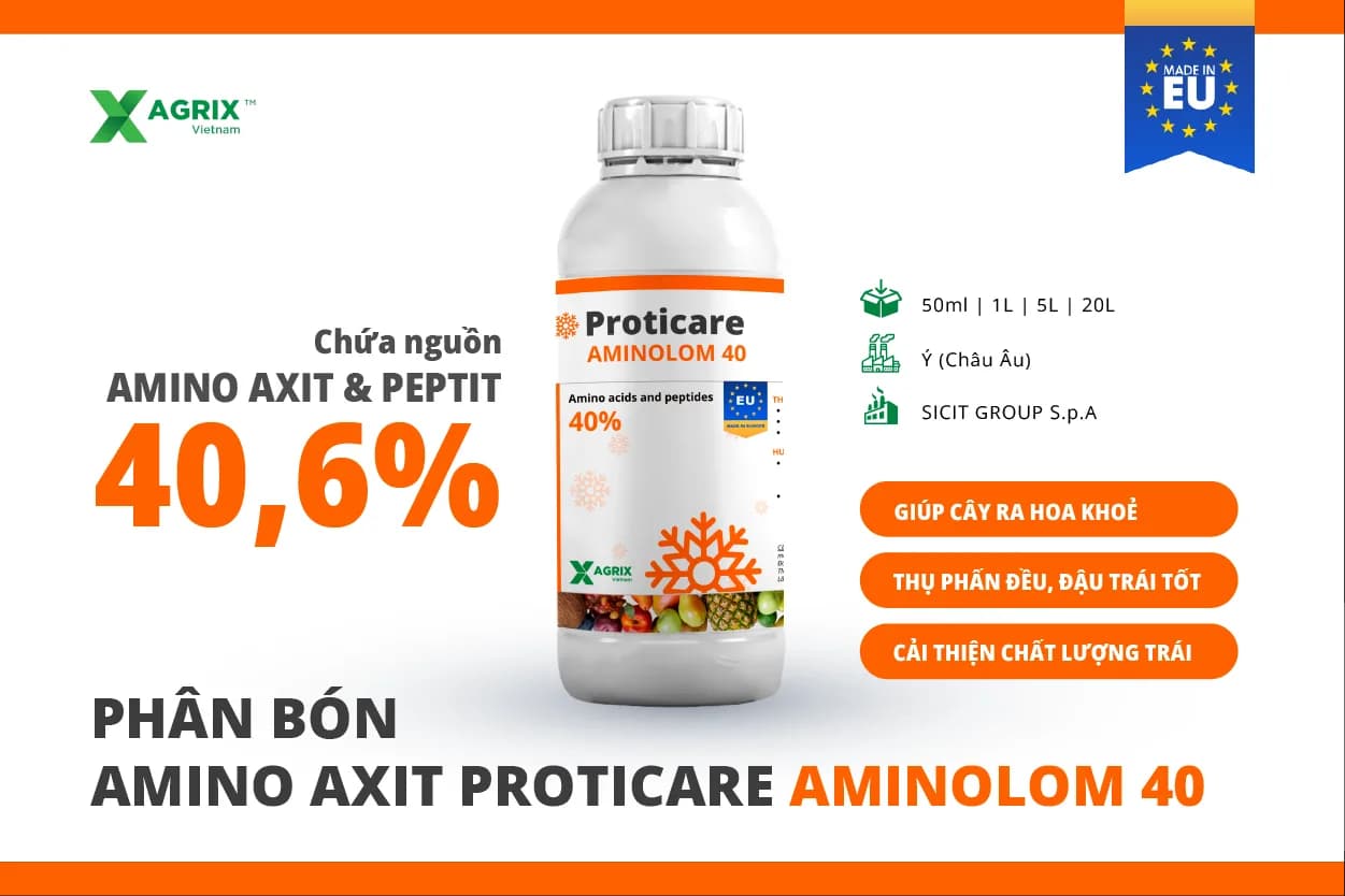 Phân amino axit Proticare AMINOLOM 40