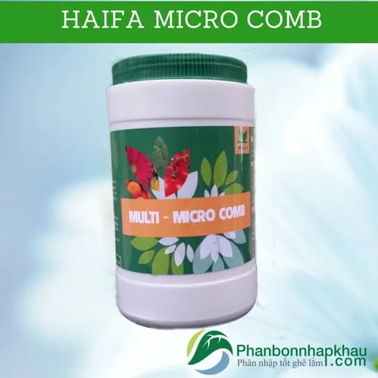 Haifa Micro Comb — ảnh 2