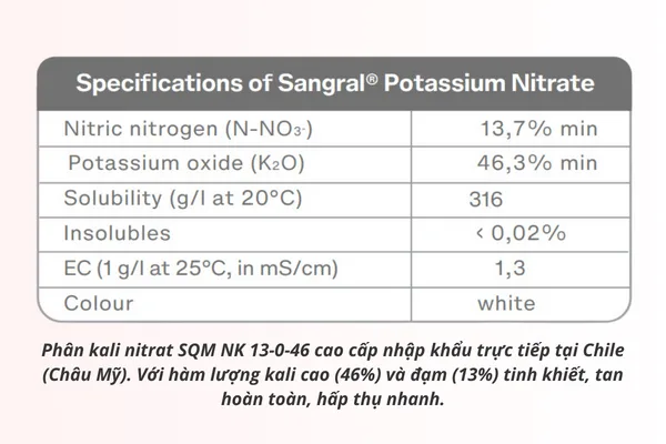 Phân kali nitrat SQM SANGRAL NK 13-0-46 — ảnh 2