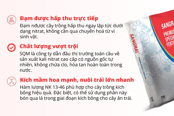 Phân kali nitrat SQM SANGRAL NK 13-0-46 — ảnh 3