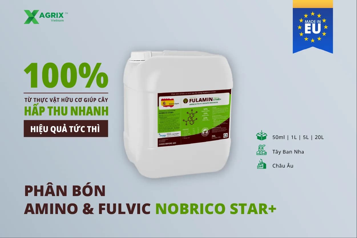 Phân bón Amino Fulvic Nobrico Star+