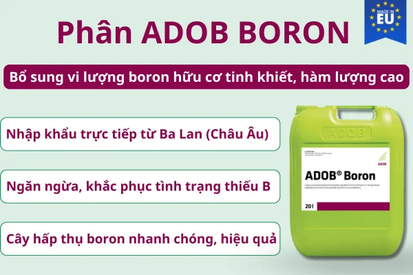 Phân ADOB BORON — ảnh 2