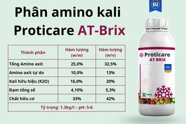 Phân bón amino kali Proticare AT-Brix — ảnh 3