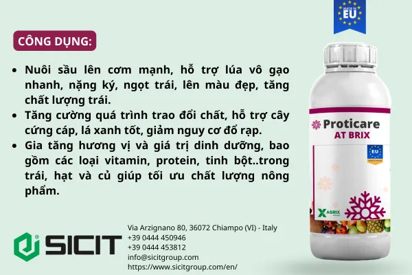 Phân bón amino kali Proticare AT-Brix — ảnh 2