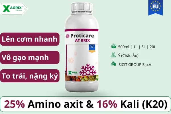 Phân bón amino kali Proticare AT-Brix