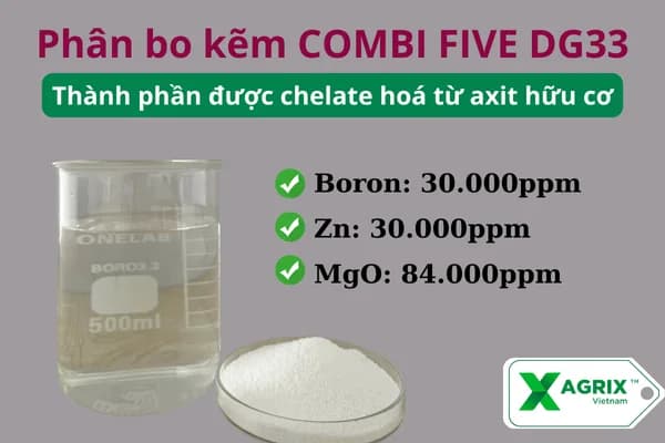 Phân bo kẽm COMBI FIVE DG33 — ảnh 2