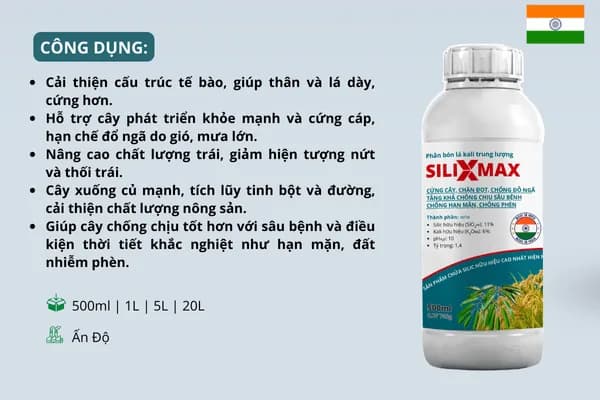 Phân bón lá silic SILIXMAX — ảnh 3