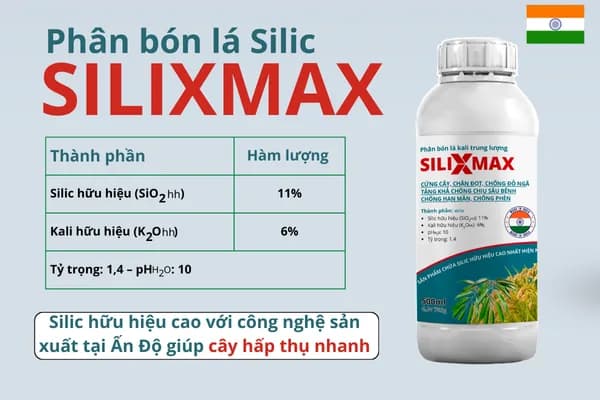 Phân bón lá silic SILIXMAX — ảnh 2
