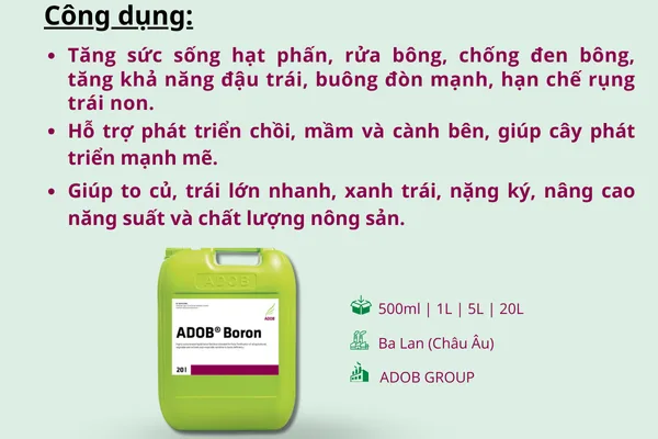Phân ADOB BORON — ảnh 3