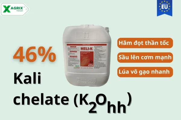 Phân gel kali chelate đậm đặc HELI K