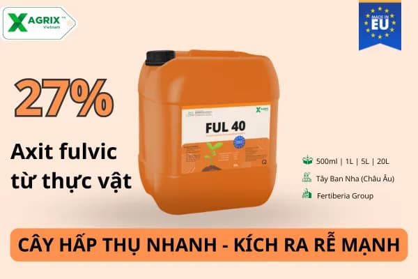 Phân bón kích rễ HAF FUL