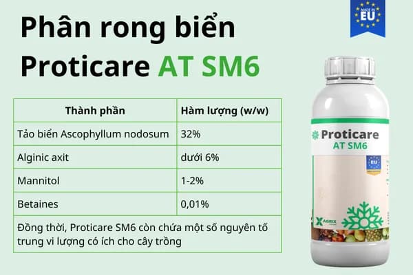 Phân rong biển Proticare AT SM6 — ảnh 2