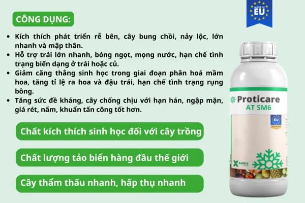 Phân rong biển Proticare AT SM6 — ảnh 3