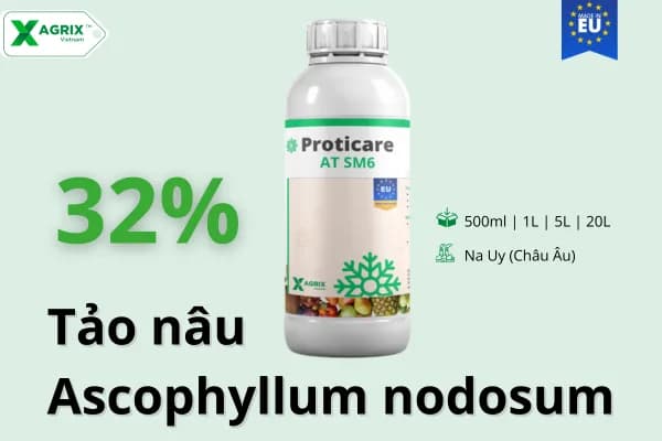 Phân rong biển Proticare AT SM6 — ảnh 1