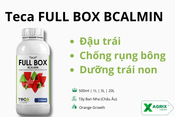 Phân Teca FULL BOX Bcalamin — ảnh 2