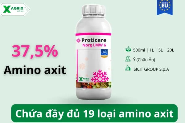 Phân amino axit Proticare Norg LMW 6 — ảnh 1
