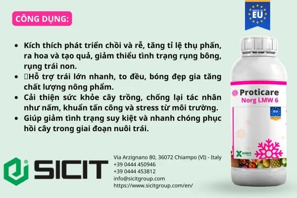 Phân amino axit Proticare Norg LMW 6 — ảnh 2