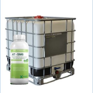 hoocmon sinh truong sinh học