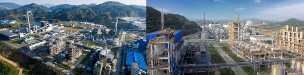 Beluckey group fertilizers